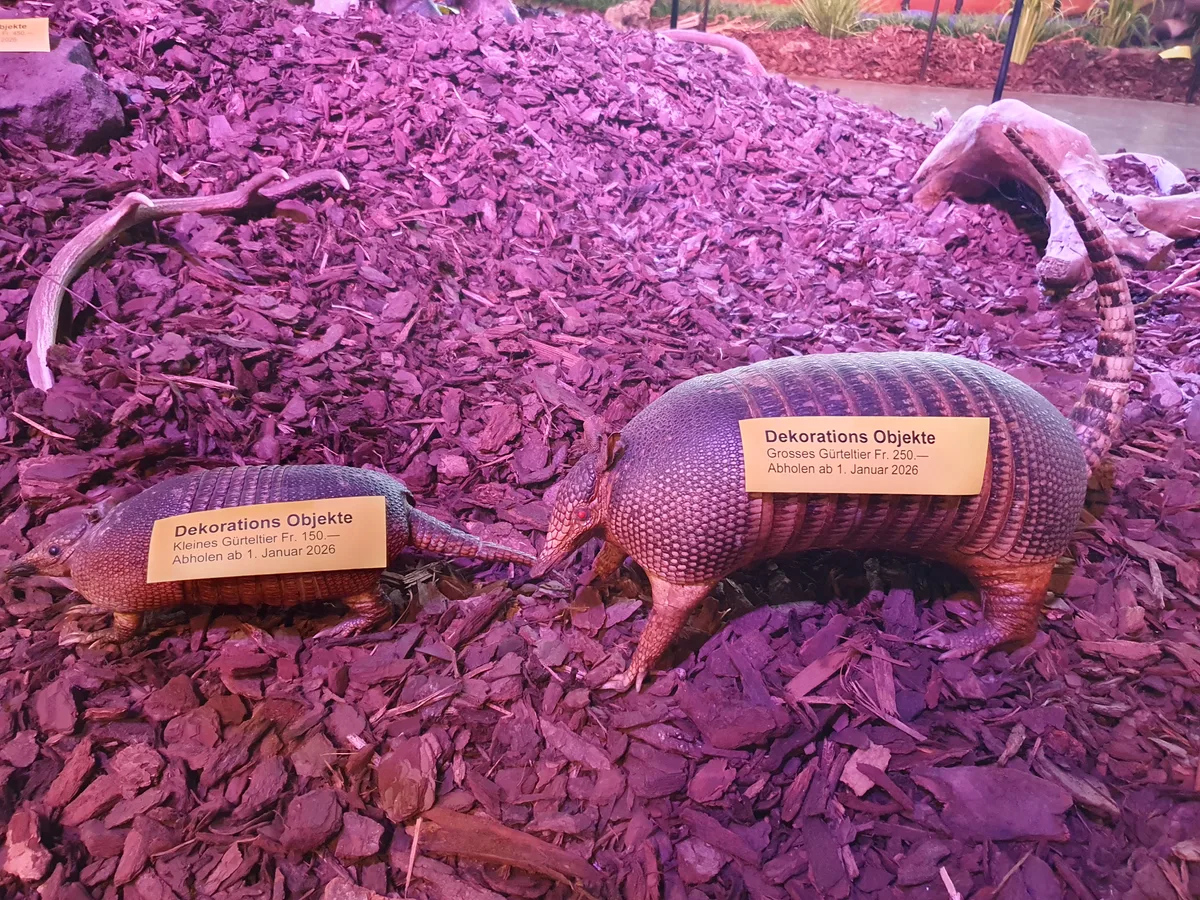 Impressionen vom Indian Land Museum in Gossau